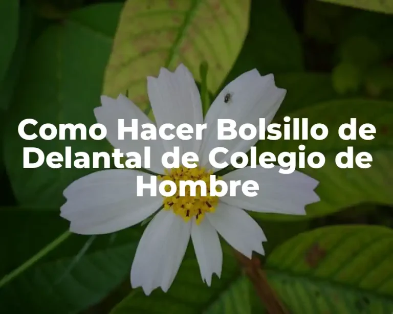 Como Hacer Bolsillo de Delantal de Colegio de Hombre