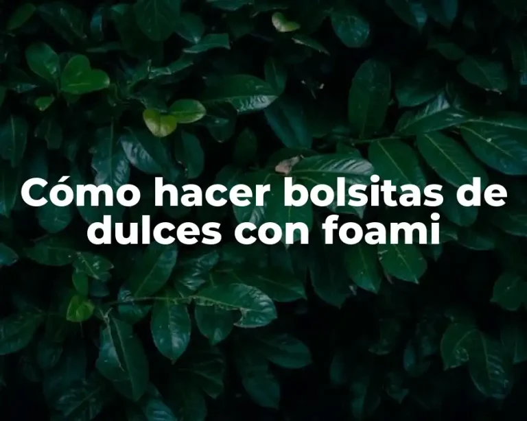 Cómo hacer bolsitas de dulces con foami