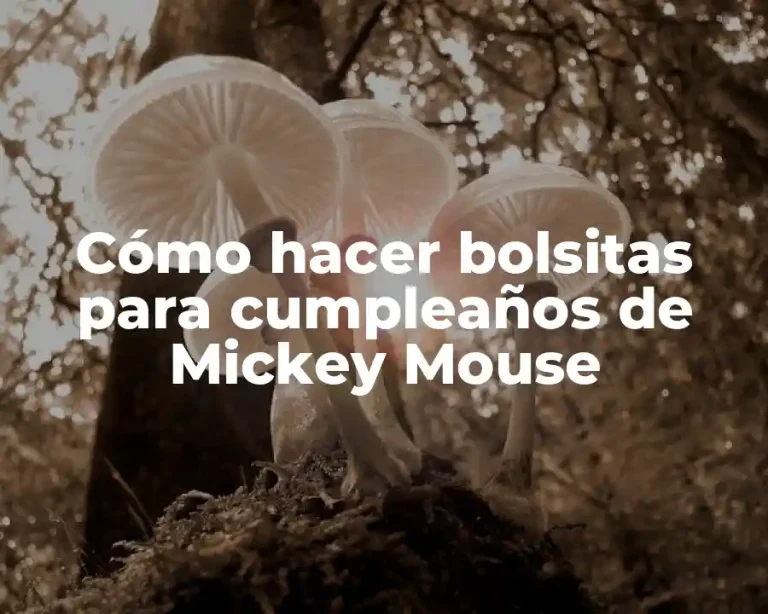 Cómo hacer bolsitas para cumpleaños de Mickey Mouse
