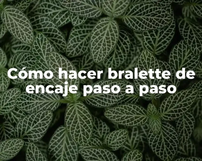 Cómo hacer bralette de encaje paso a paso