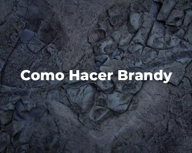 Como Hacer Brandy
