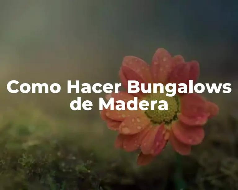Como Hacer Bungalows de Madera