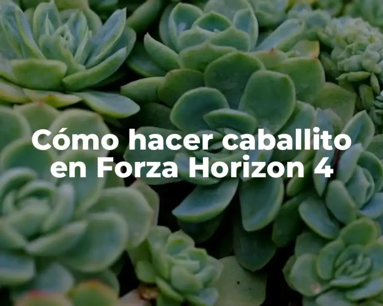 Cómo hacer caballito en Forza Horizon 4