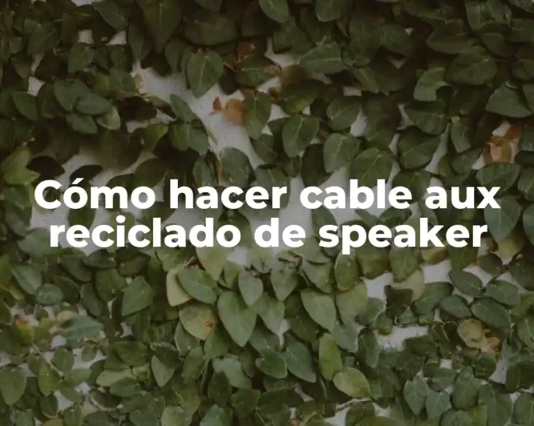 Cómo hacer cable aux reciclado de speaker