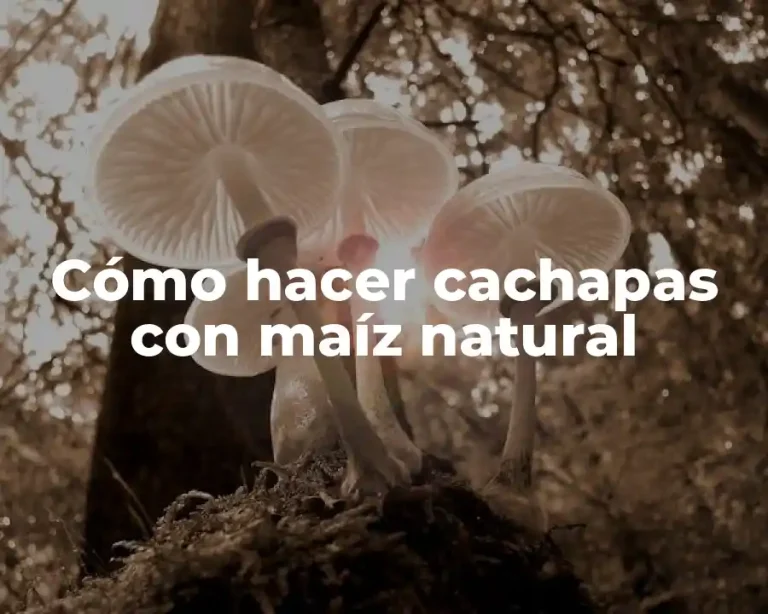 Cómo hacer cachapas con maíz natural