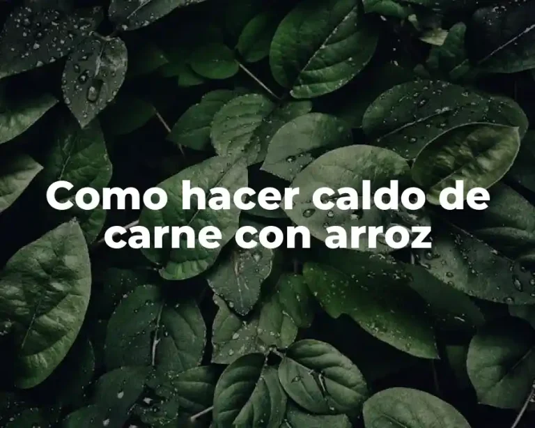 Como hacer caldo de carne con arroz