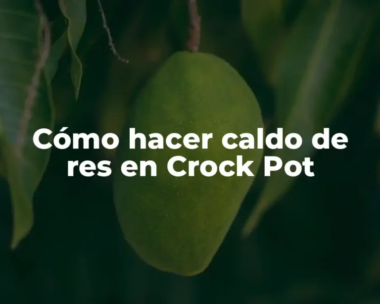 Cómo hacer caldo de res en Crock Pot