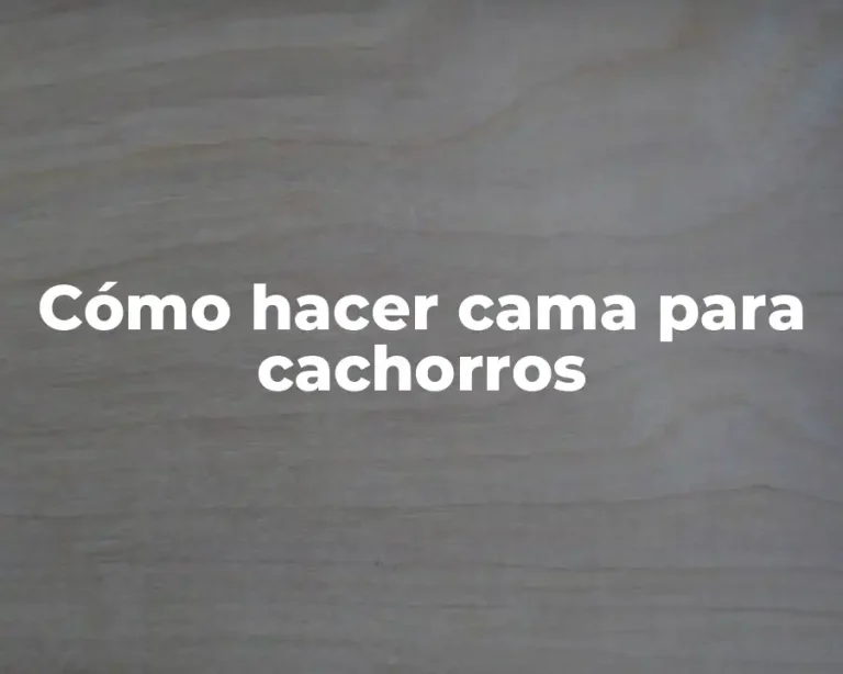 Cómo hacer cama para cachorros