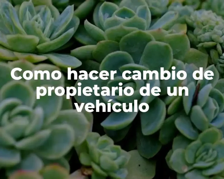 Como hacer cambio de propietario de un vehículo