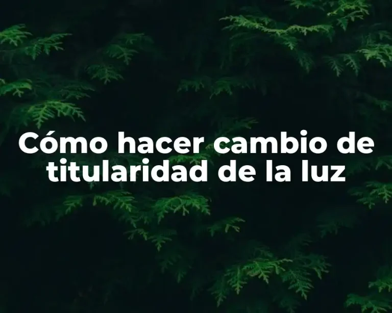 Cómo hacer cambio de titularidad de la luz