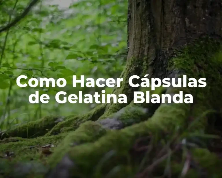 Como Hacer Cápsulas de Gelatina Blanda