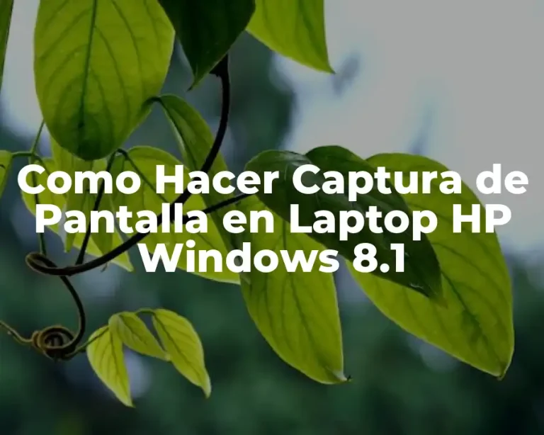 Como Hacer Captura de Pantalla en Laptop HP Windows 8.1