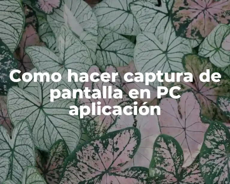Como hacer captura de pantalla en PC aplicación