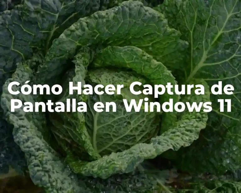 Cómo Hacer Captura de Pantalla en Windows 11