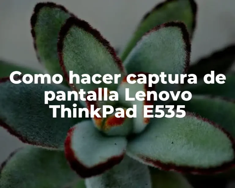 Como hacer captura de pantalla Lenovo ThinkPad E535