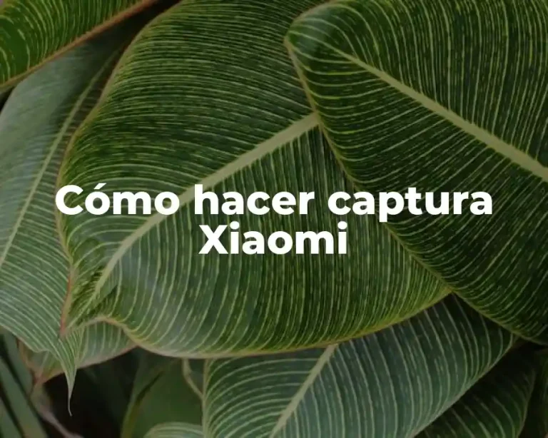 Cómo hacer captura Xiaomi