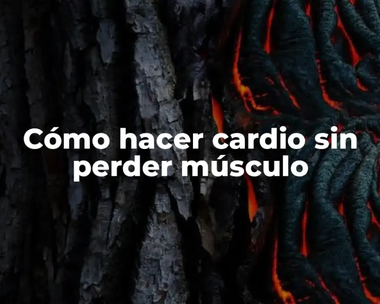 Cómo hacer cardio sin perder músculo