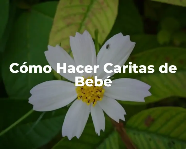 Cómo Hacer Caritas de Bebé