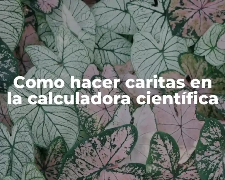 Como hacer caritas en la calculadora científica