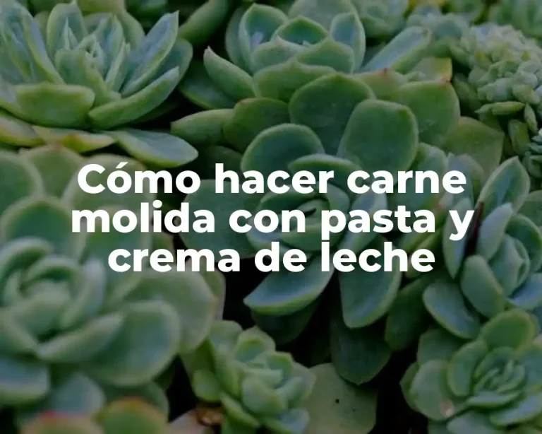 Cómo hacer carne molida con pasta y crema de leche