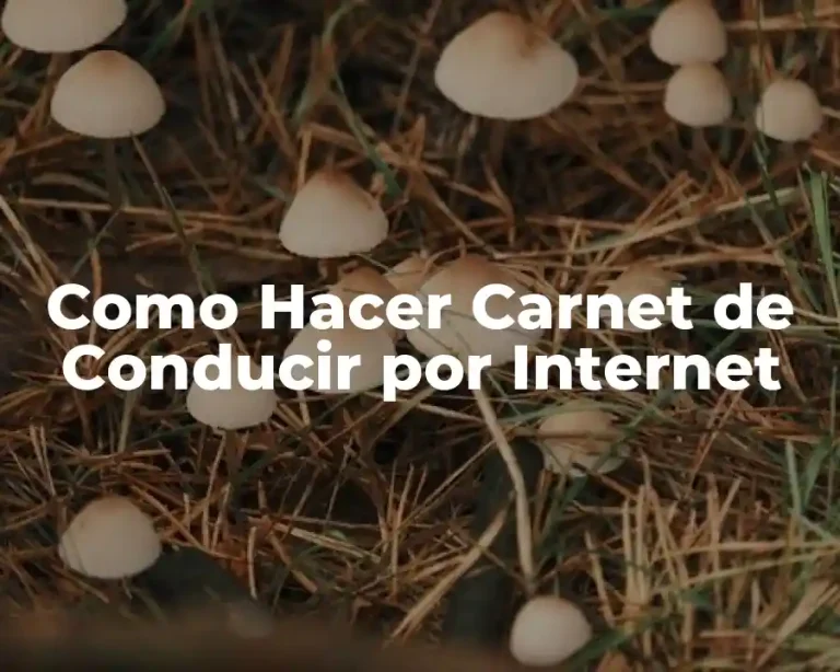 Como Hacer Carnet de Conducir por Internet