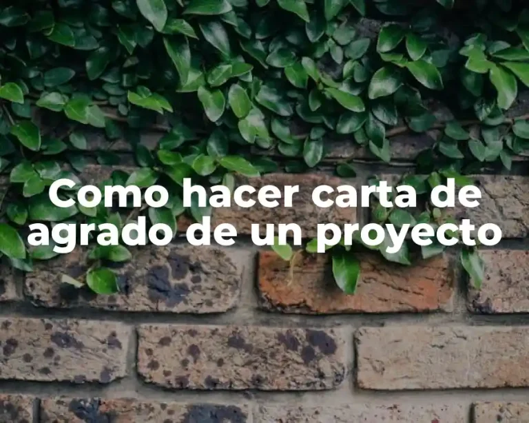 Como hacer carta de agrado de un proyecto