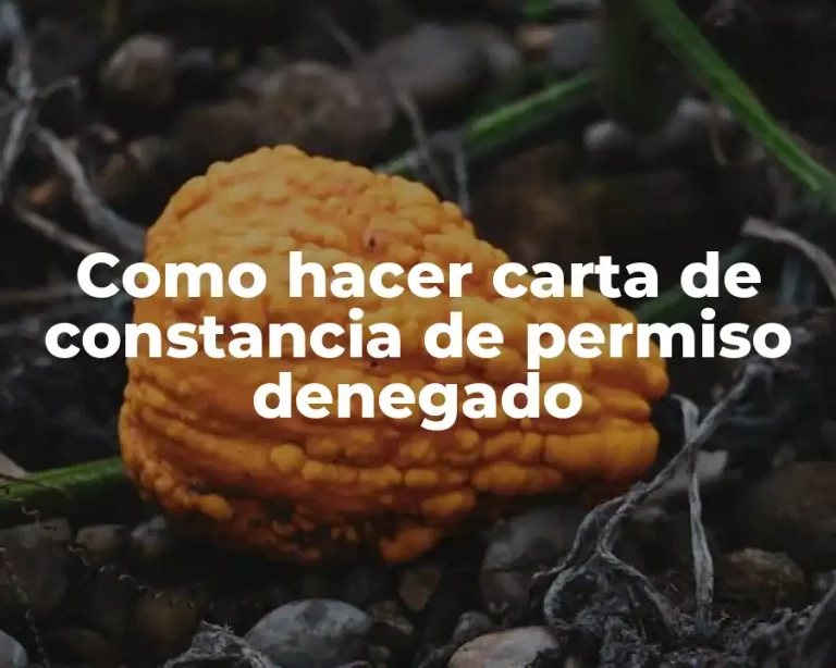 Como hacer carta de constancia de permiso denegado