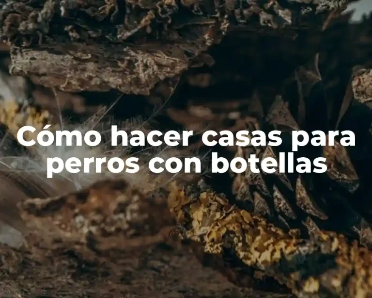 Cómo hacer casas para perros con botellas