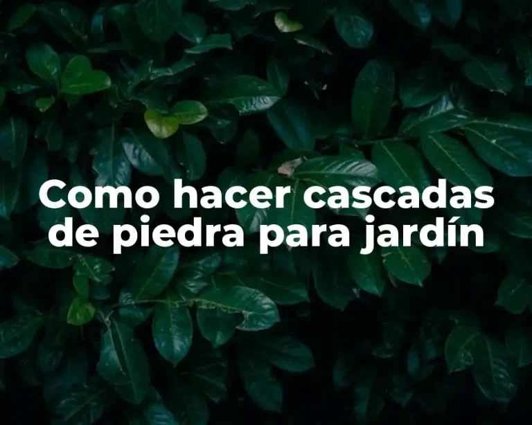 Como hacer cascadas de piedra para jardín