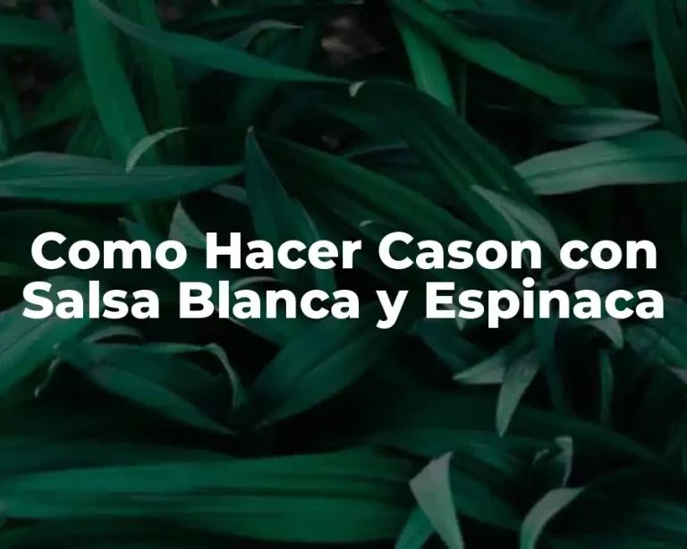 Como Hacer Cason con Salsa Blanca y Espinaca