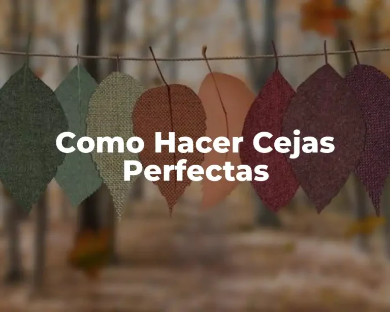 Como Hacer Cejas Perfectas