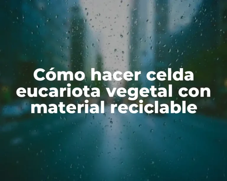 Cómo hacer celda eucariota vegetal con material reciclable