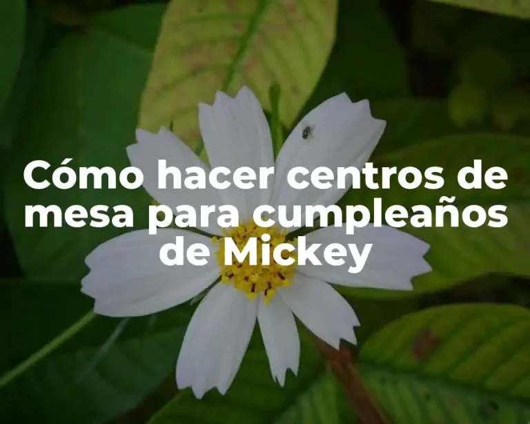 Cómo hacer centros de mesa para cumpleaños de Mickey