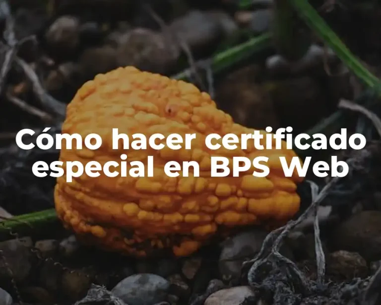 Cómo hacer certificado especial en BPS Web
