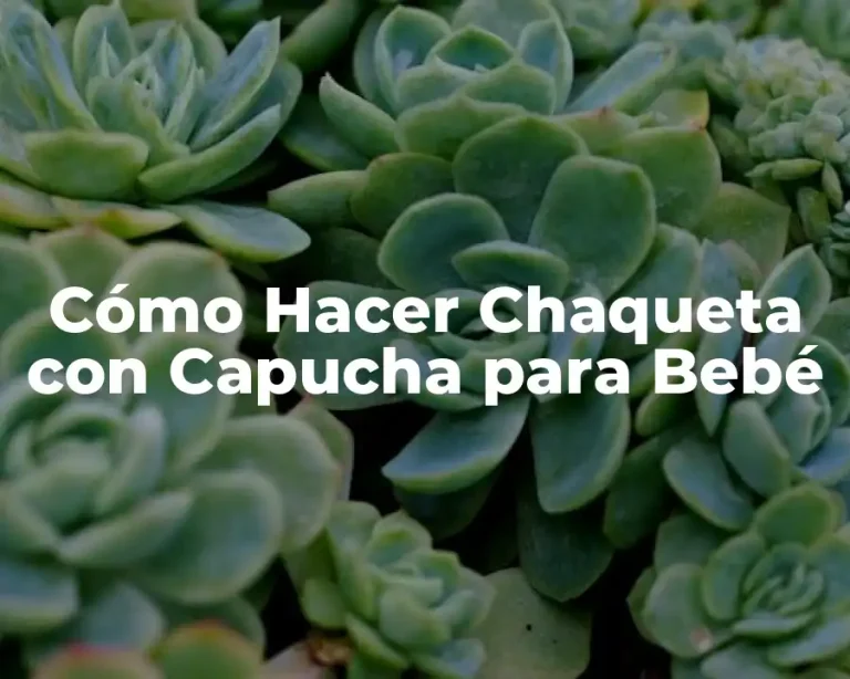 Cómo Hacer Chaqueta con Capucha para Bebé