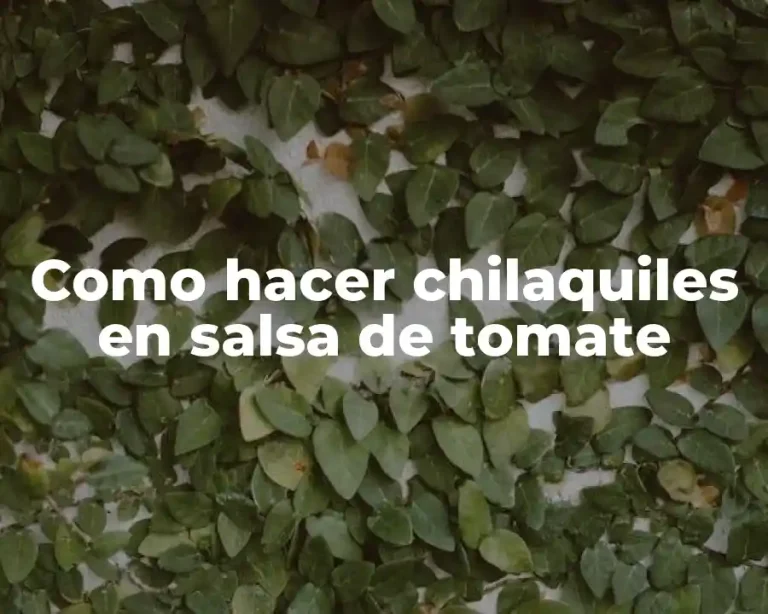 Como hacer chilaquiles en salsa de tomate