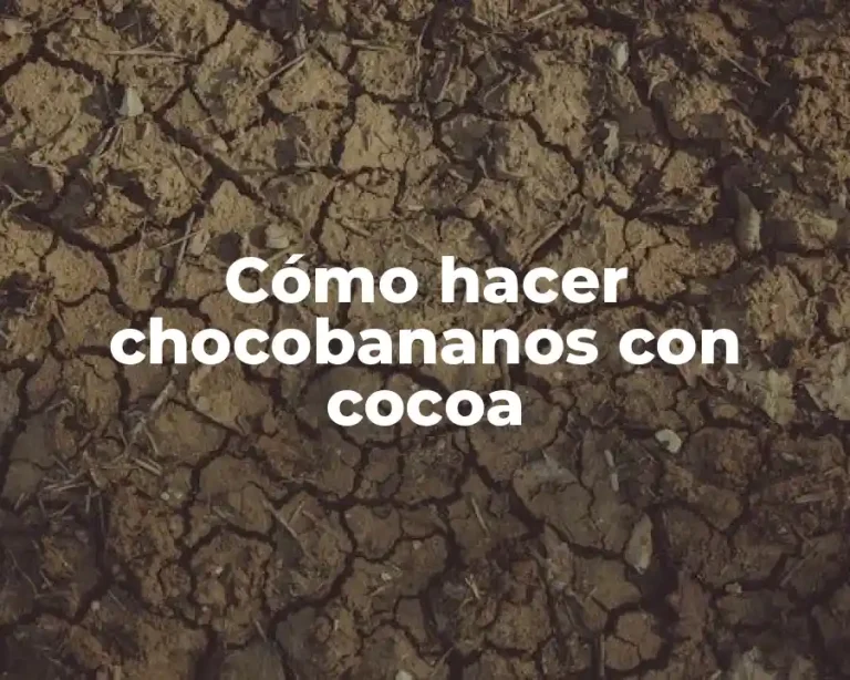 Cómo hacer chocobananos con cocoa