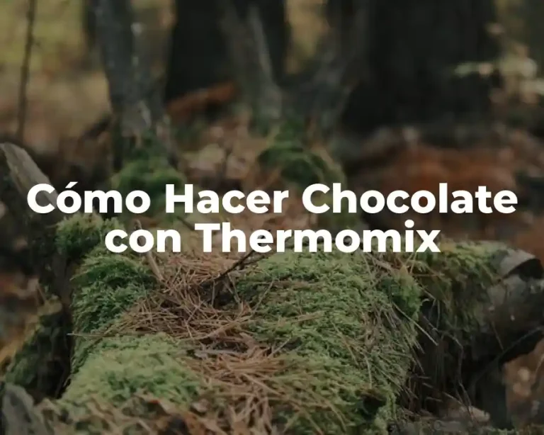Cómo Hacer Chocolate con Thermomix