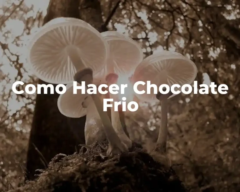 Como Hacer Chocolate Frio