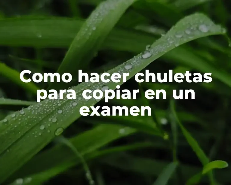Como hacer chuletas para copiar en un examen