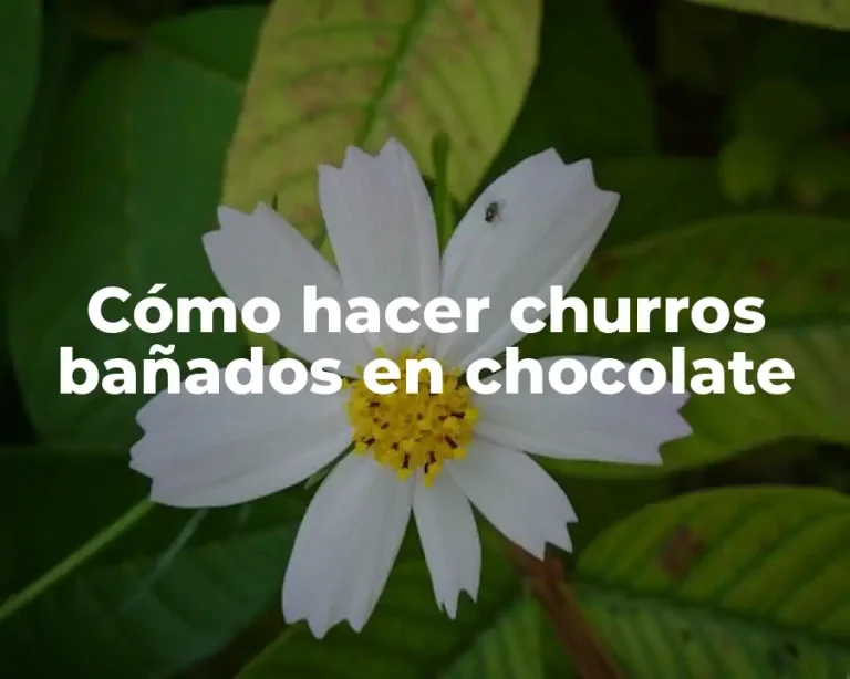 Cómo hacer churros bañados en chocolate