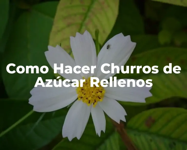 Como Hacer Churros de Azúcar Rellenos