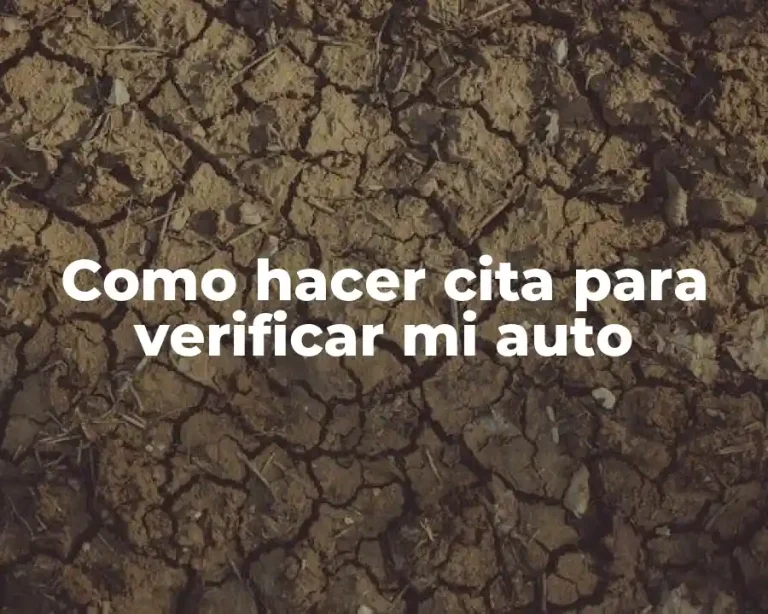 Como hacer cita para verificar mi auto