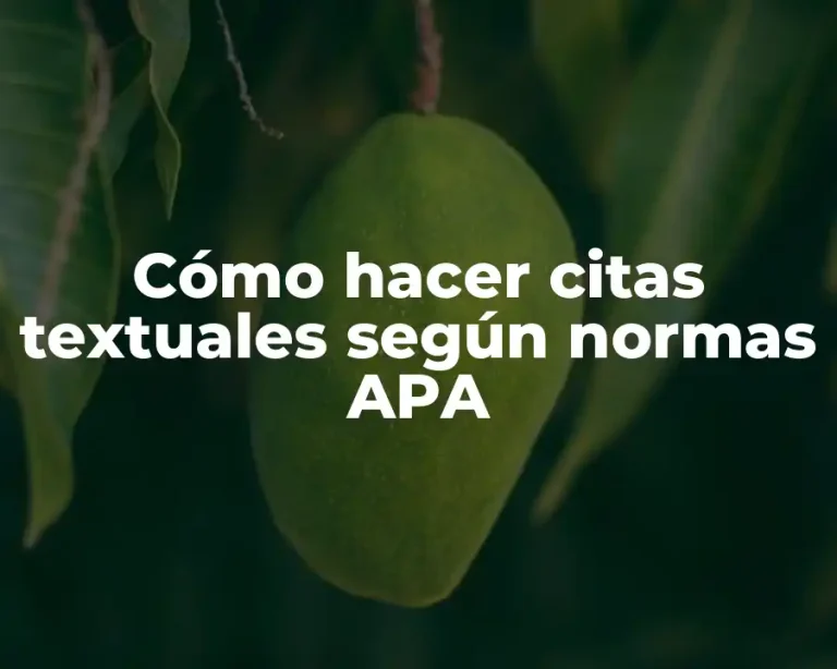 Cómo hacer citas textuales según normas APA