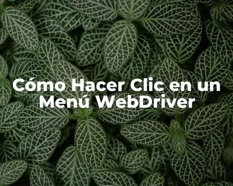 Cómo Hacer Clic en un Menú WebDriver