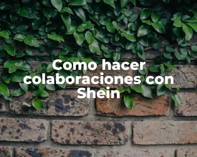 Como hacer colaboraciones con Shein