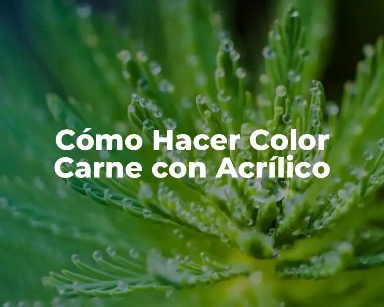 Cómo Hacer Color Carne con Acrílico