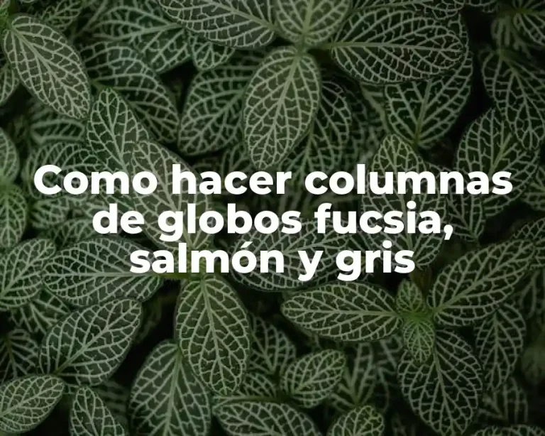 Como hacer columnas de globos fucsia, salmón y gris