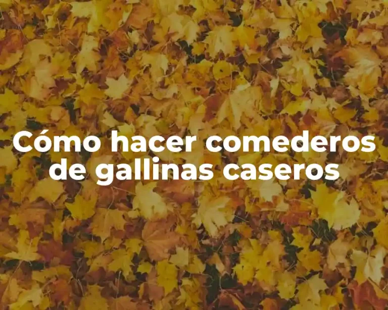 Cómo hacer comederos de gallinas caseros