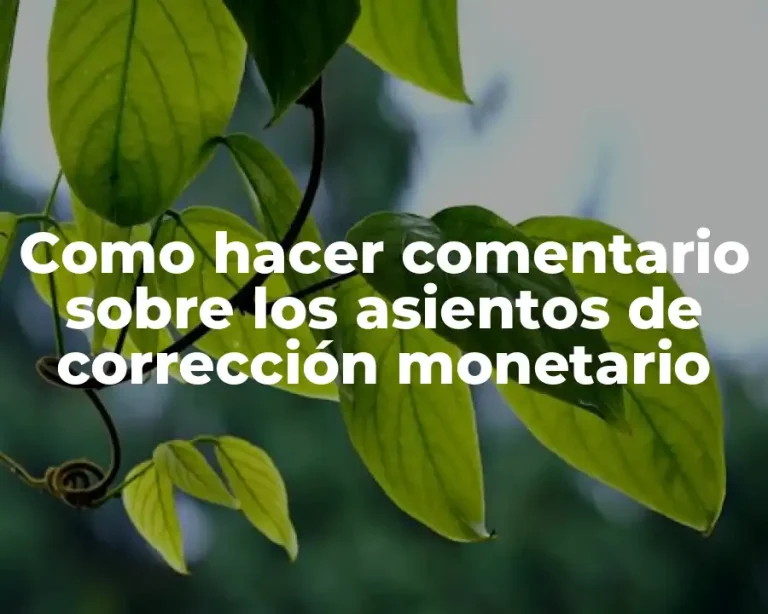 Como hacer comentario sobre los asientos de corrección monetario